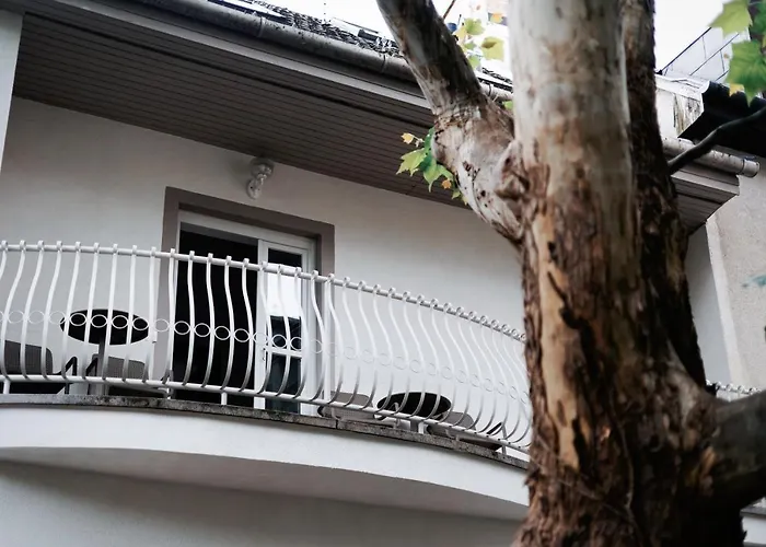 Oliver 부다페스트